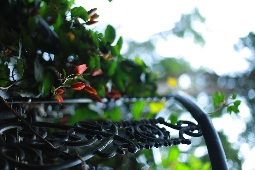 Greenspaces B&B Munnar Extérieur photo